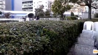 国产稚嫩的学生呻吟视频